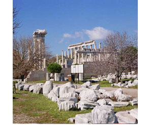 Pergamum